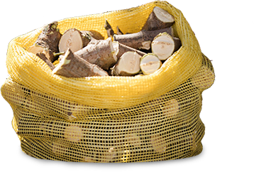 Рубані гілки
